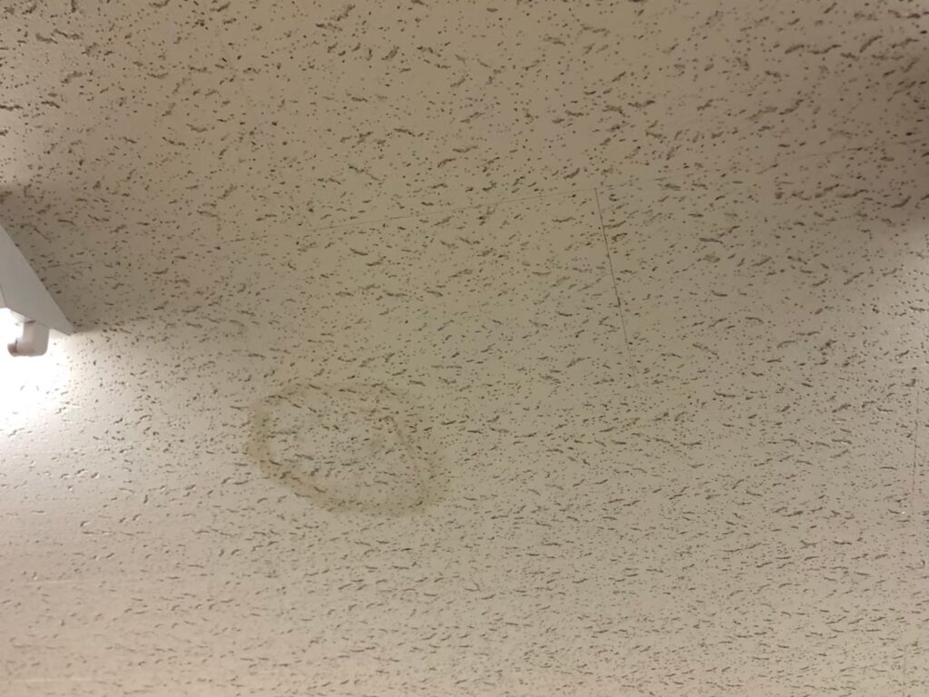 室内の天井に雨漏りでシミが広がっている状態