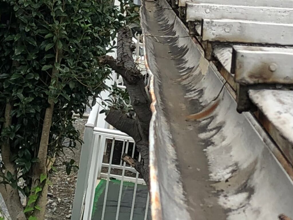 浦和・川口で増えている雨樋トラブル　落ち葉詰まり・金具のサビ・樹脂の劣化が排水不良につながる危険性と正しいメンテナンス