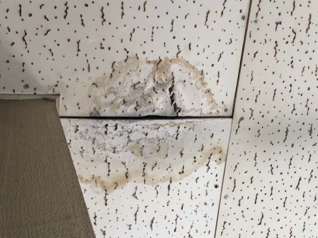 室内の天井に雨漏りでシミが広がっている状態