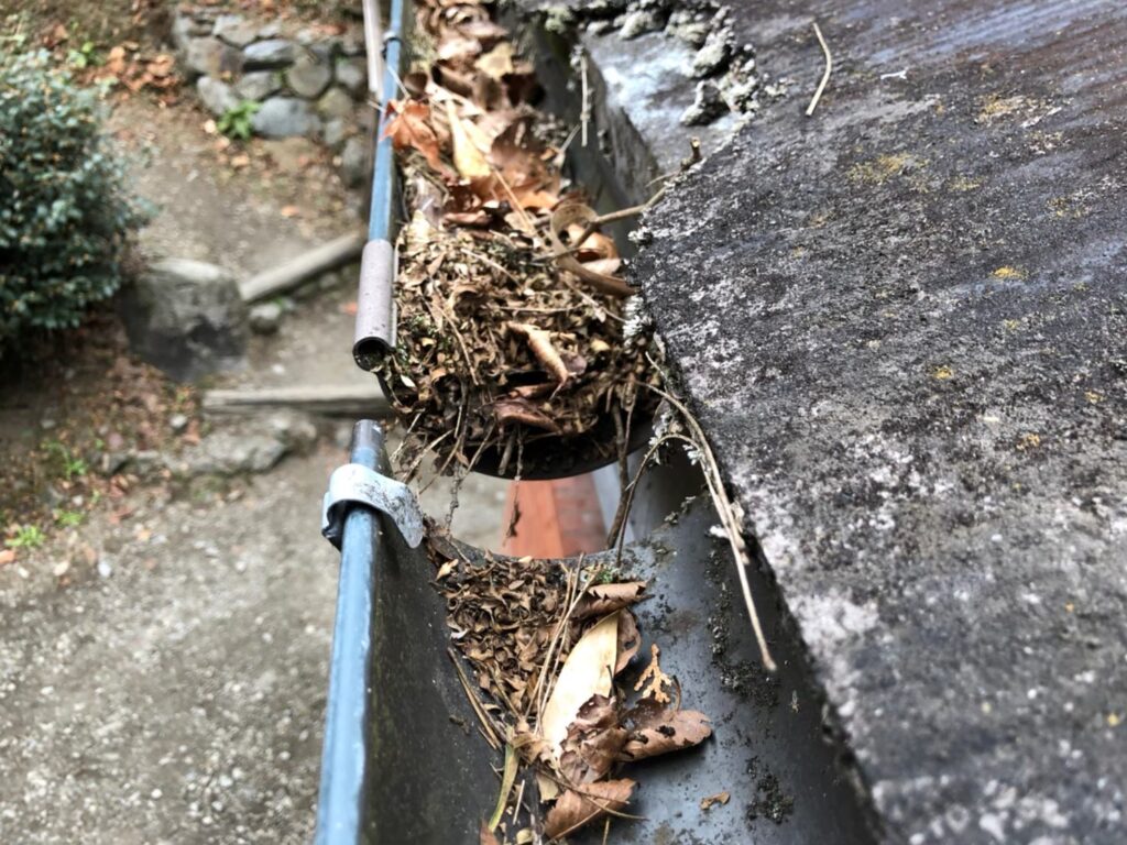 雨樋に落ち葉が詰まり、排水不良を起こしている状態