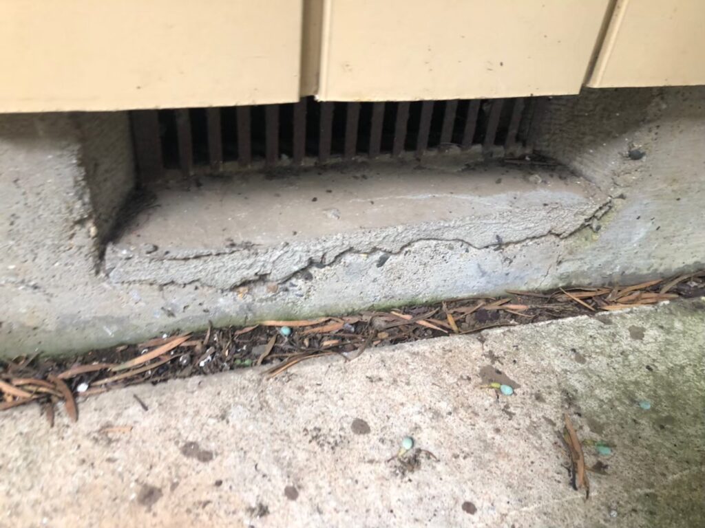 地震の影響により基礎表面にひび割れが広がり、劣化が進行している状況