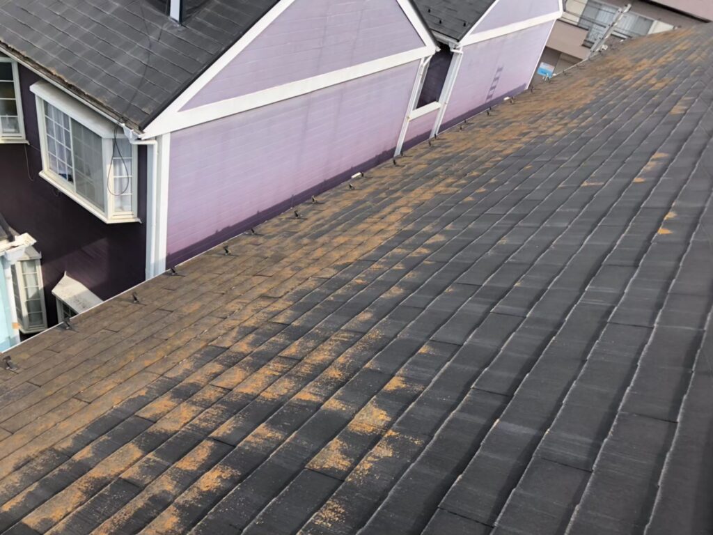 経年劣化で屋根表面に汚れ・苔が広がっている状態