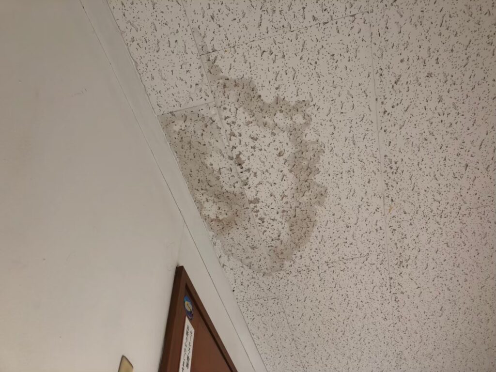 室内の天井に雨漏りでシミが広がっている状態