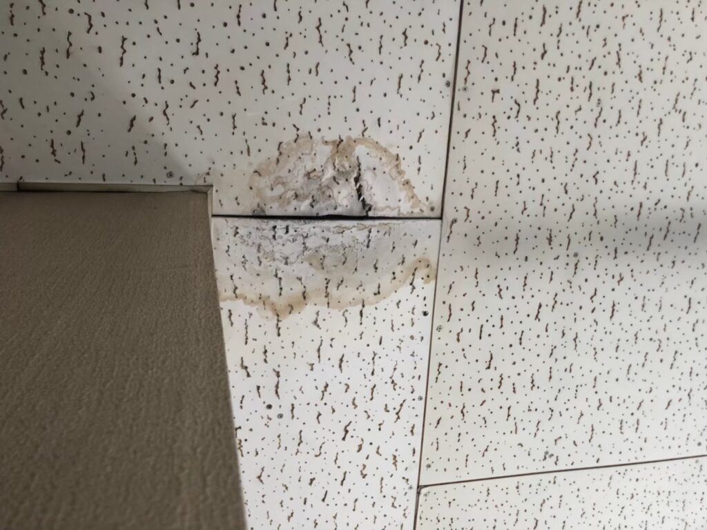 室内の天井に雨漏りでシミが広がっている状態