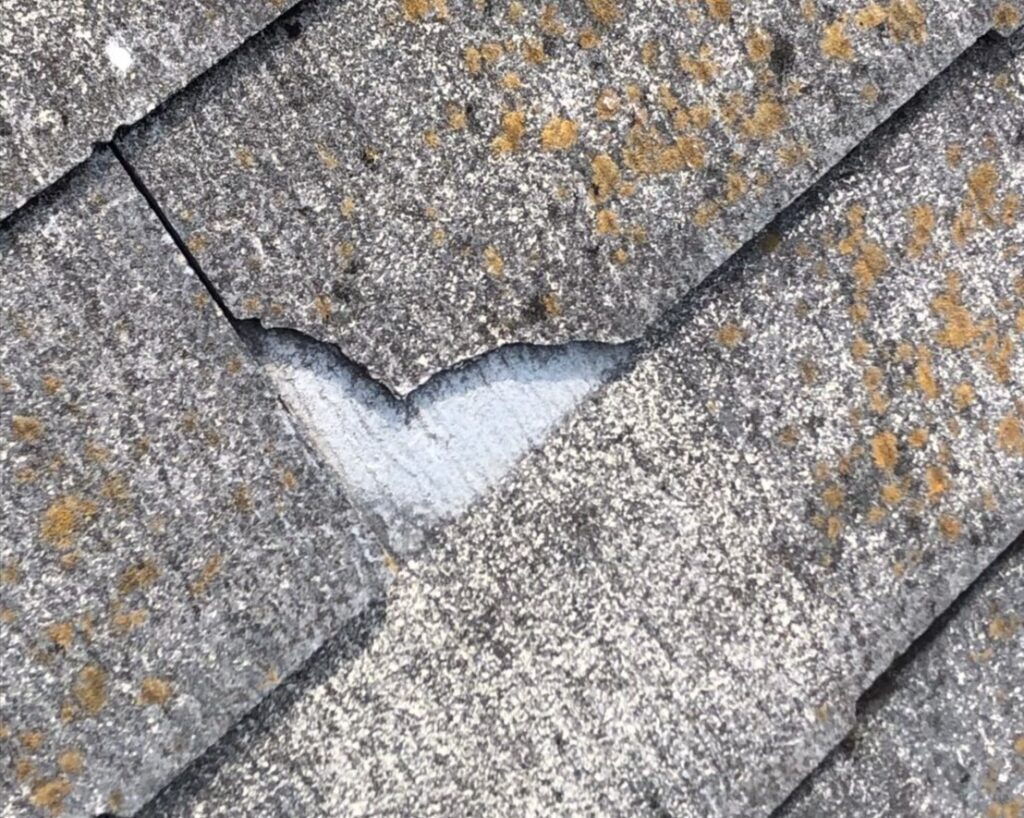 台風の影響により屋根材が割れている状態