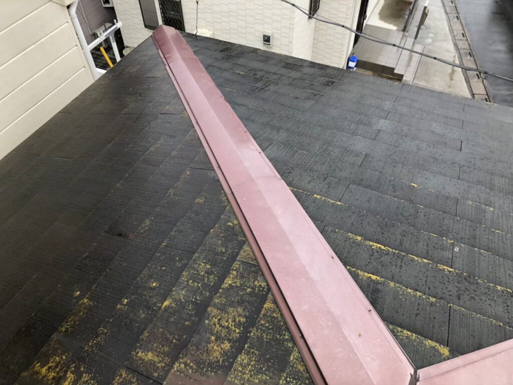 屋根材に黒ずみ汚れが発生し、防水性能が低下している状態