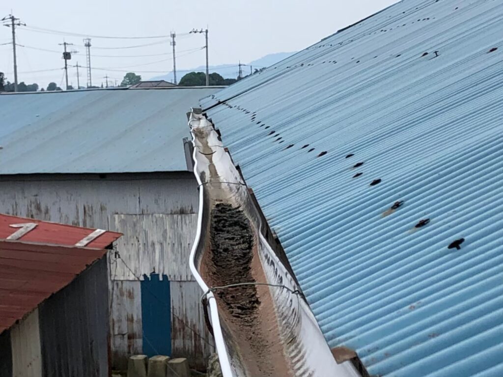 川口市で雨樋から水があふれているのを見つけたら　初めての雨…