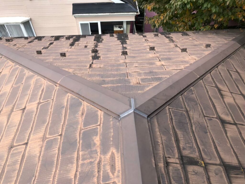 屋根材に黒ずみ汚れが発生し、防水性能が低下している状態