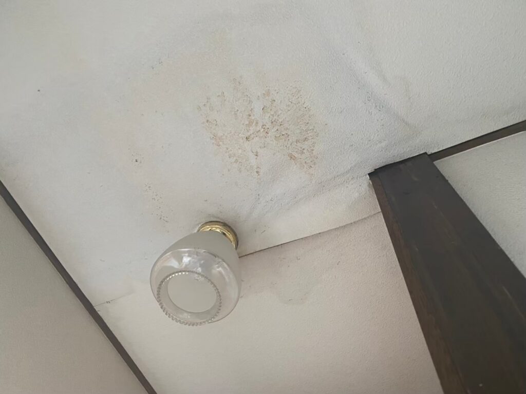 室内の天井に雨漏りでシミが広がっている状態