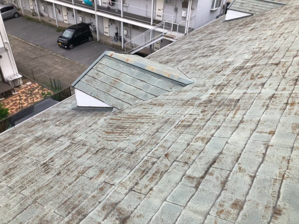 屋根材に黒ずみ汚れが発生し、防水性能が低下している状態