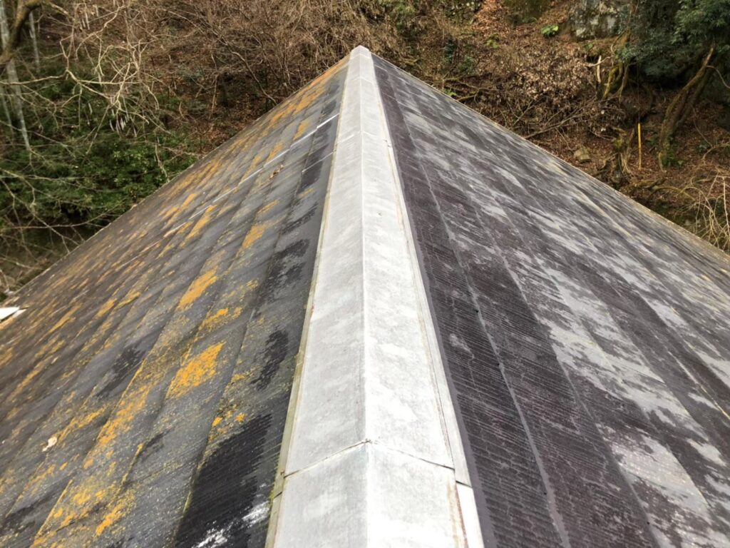 経年劣化で屋根表面に汚れ・苔が広がっている状態