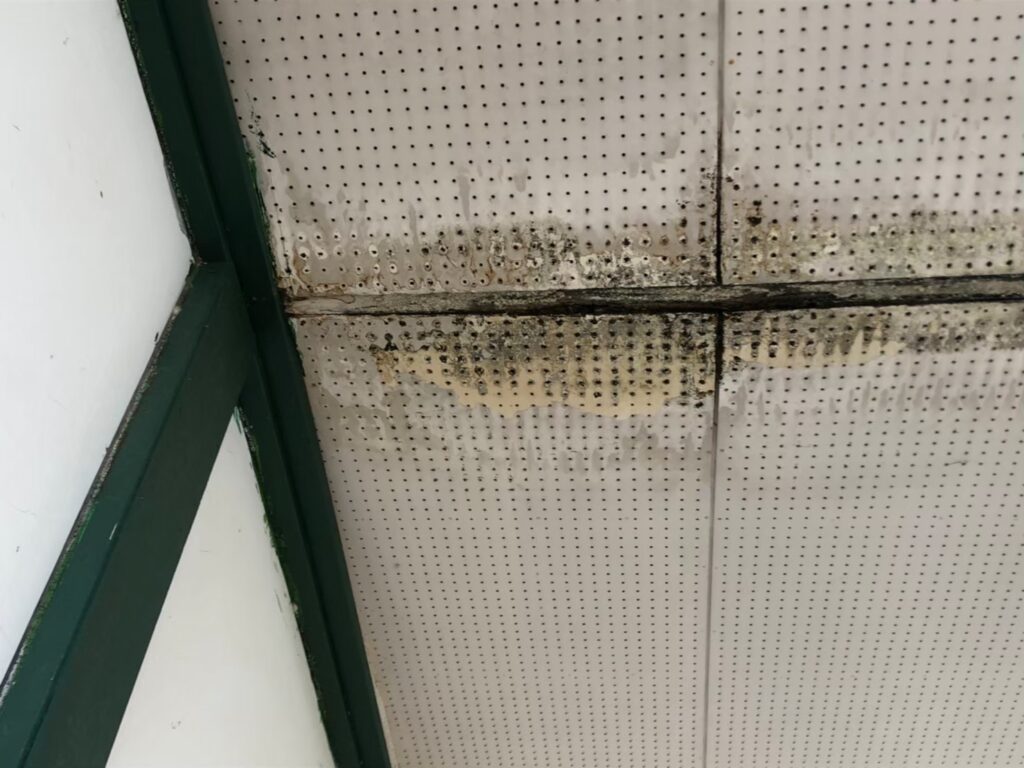 室内の天井に雨漏りでシミが広がっている状態