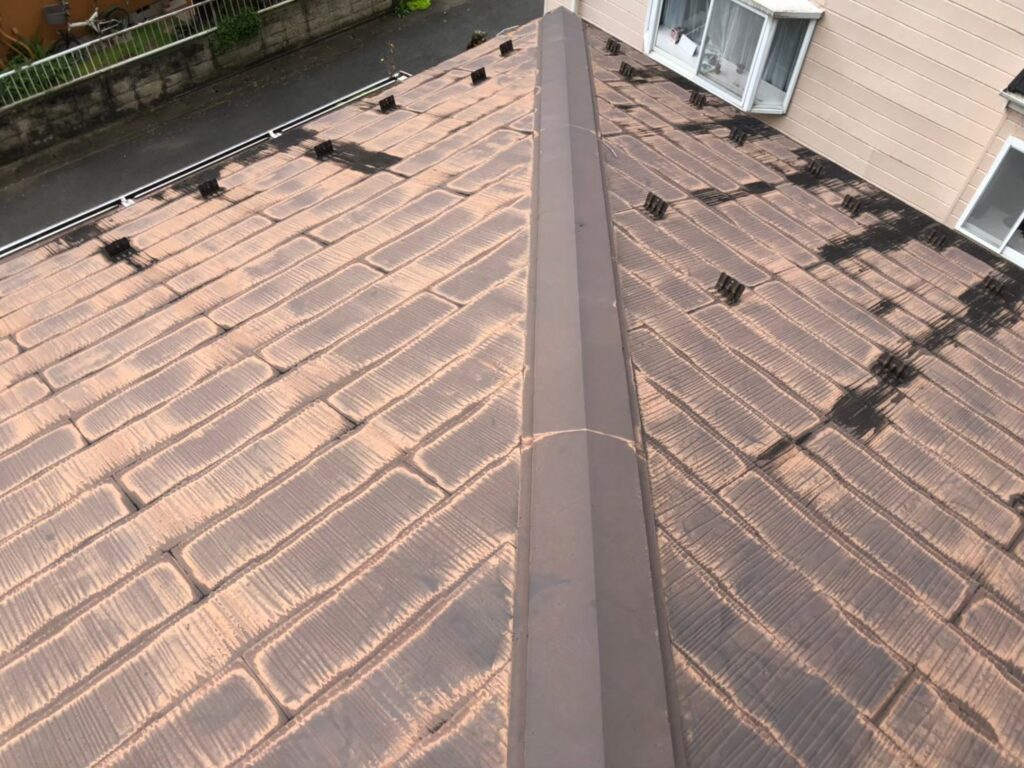 屋根材に黒ずみ汚れが発生し、防水性能が低下している状態