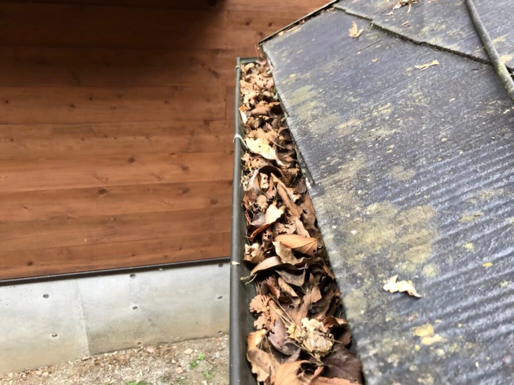 雨樋に落ち葉が詰まり、排水不良を起こしている状態
