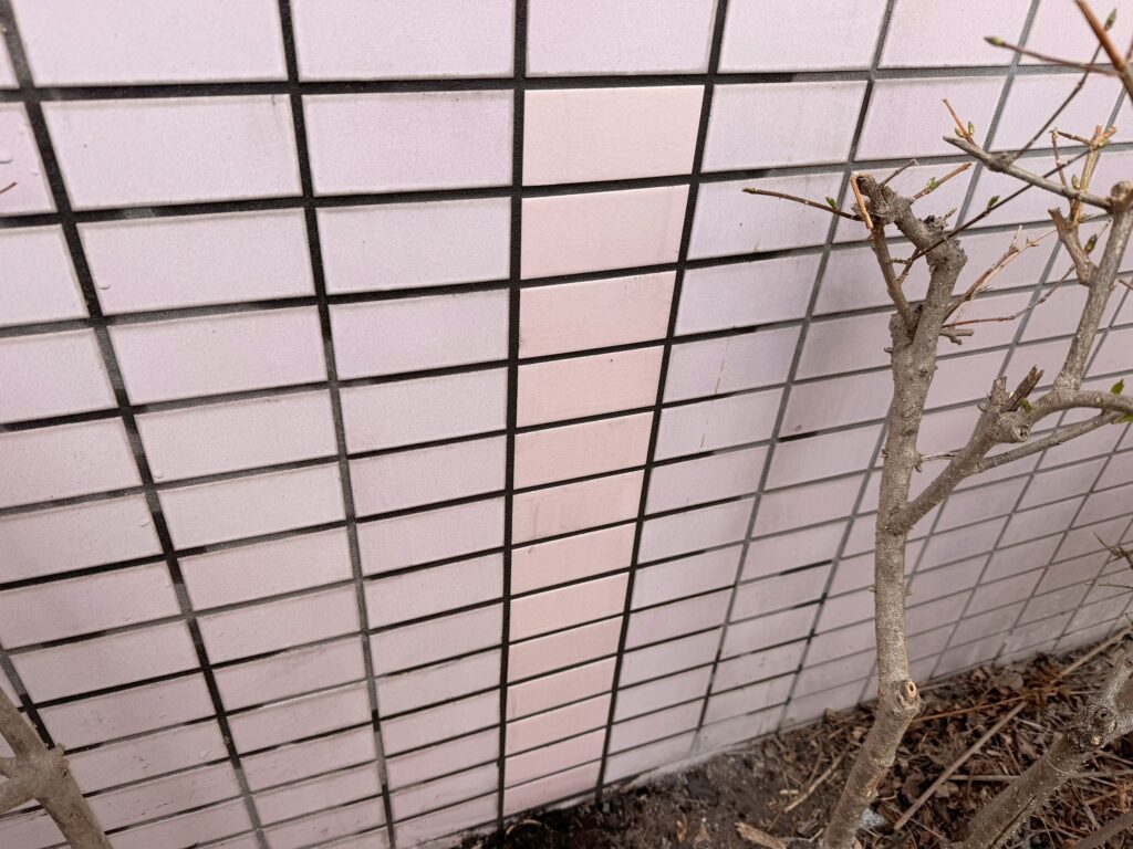 スポンジによる洗浄作業が完了し、外壁タイルの貼り替え工事が完了した写真