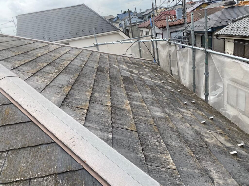 経年劣化で屋根表面に汚れ・苔が広がっている状態