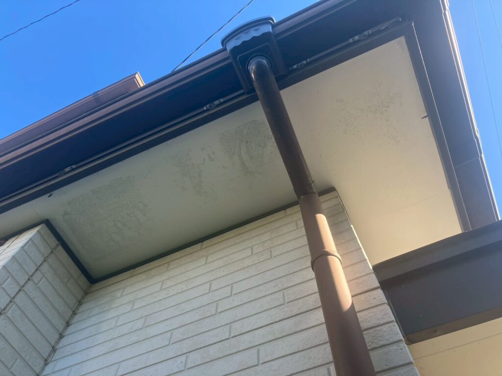 雨漏りによる水分で軒天に茶色い雨染みが生じている状態