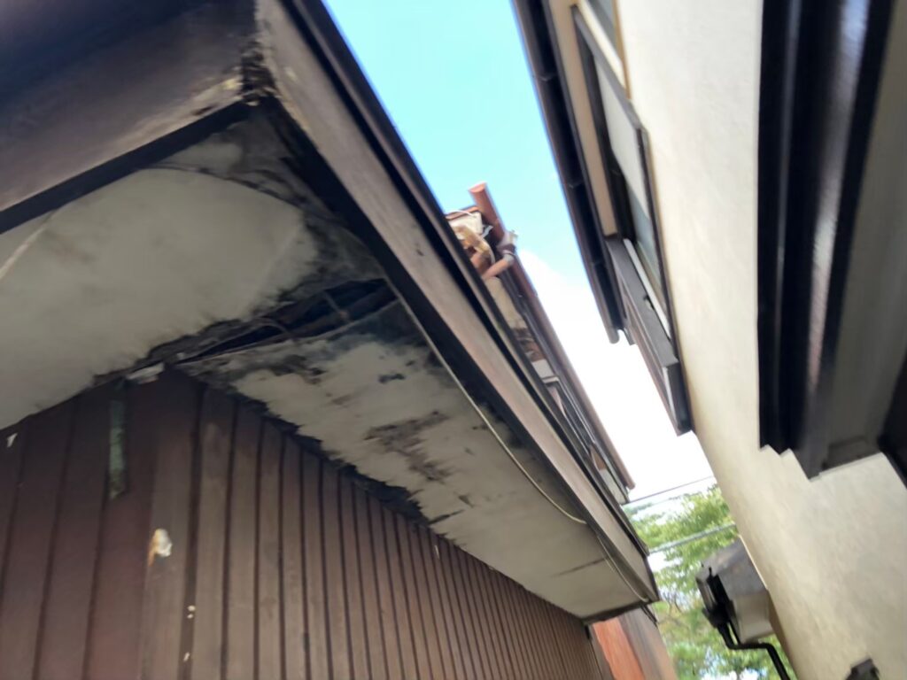 雨漏りによる水分で軒天に茶色い雨染みが生じている状態