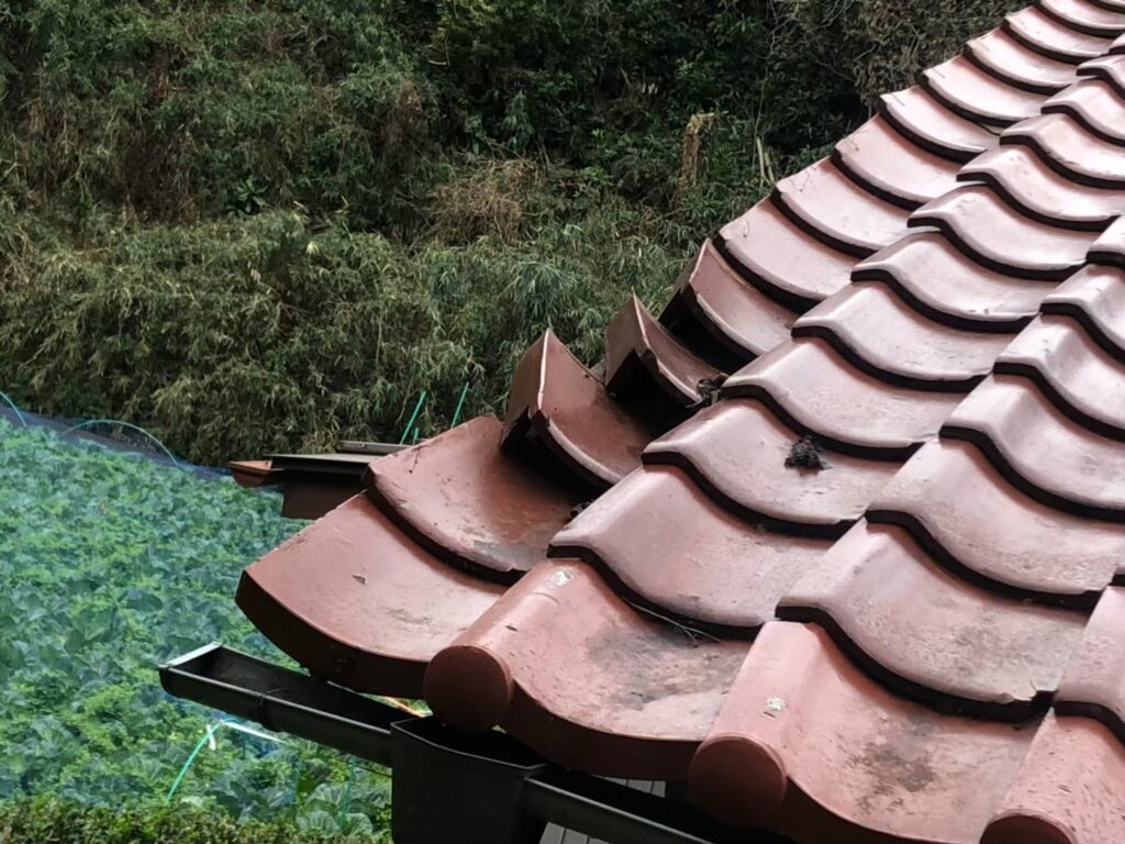 強風の影響により屋根瓦が大きくずれている状態