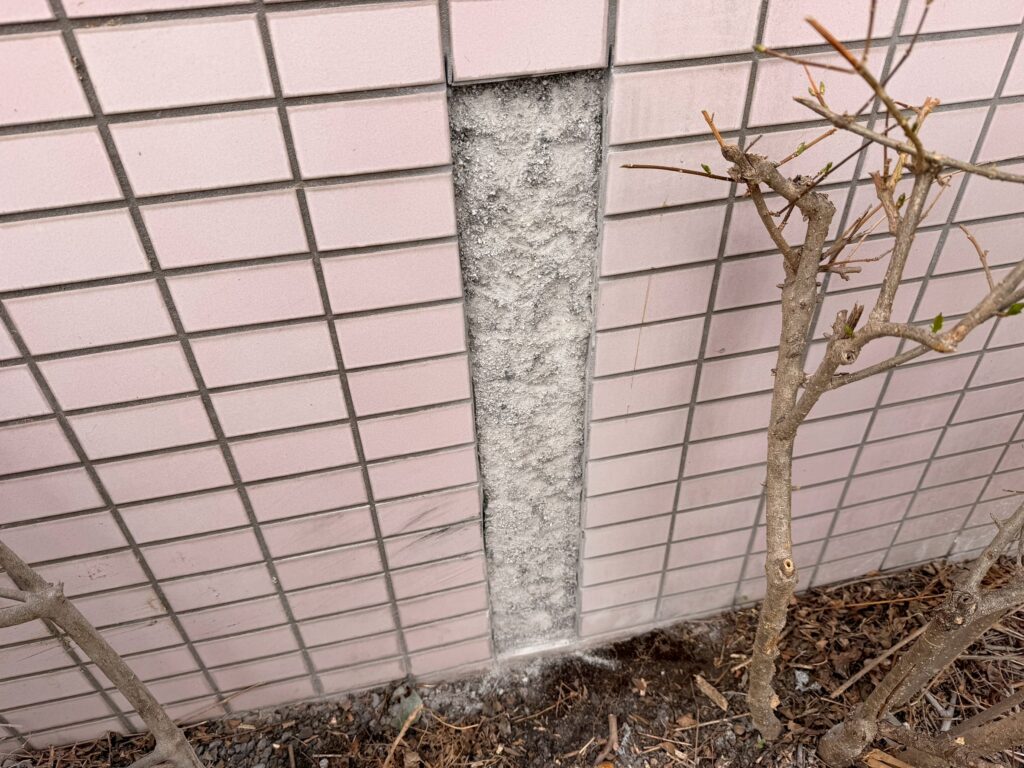 ひび割れが発生していた14枚の外壁タイルを撤去した写真