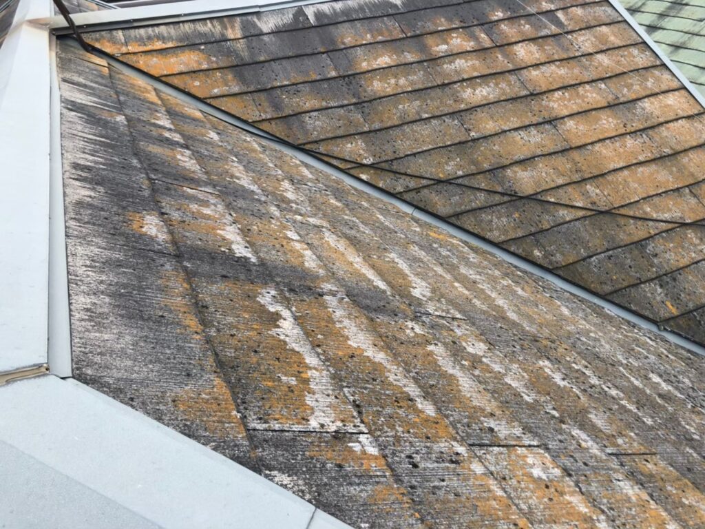 経年劣化で屋根表面に汚れ・苔が広がっている状態