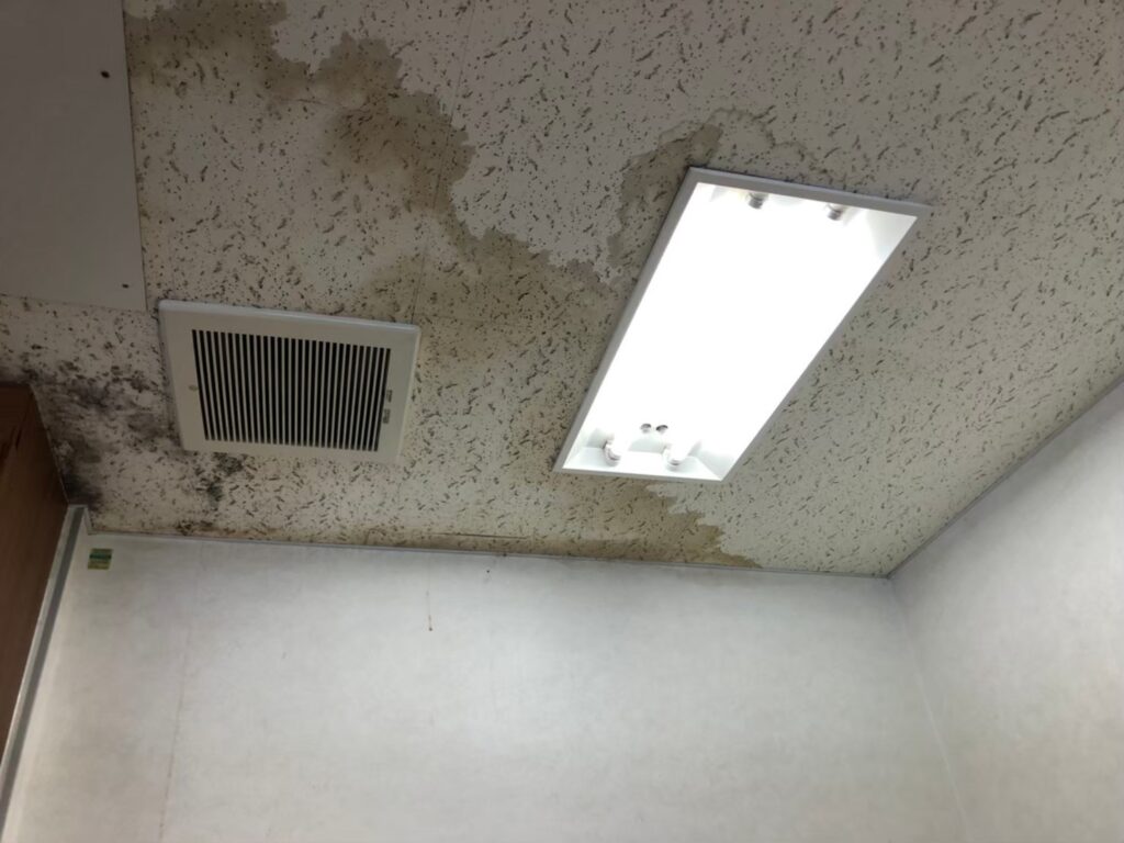 室内の天井に雨漏りでシミが広がっている状態