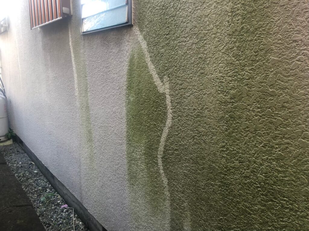 経年劣化により外壁に藻やカビの汚れが発生している状態