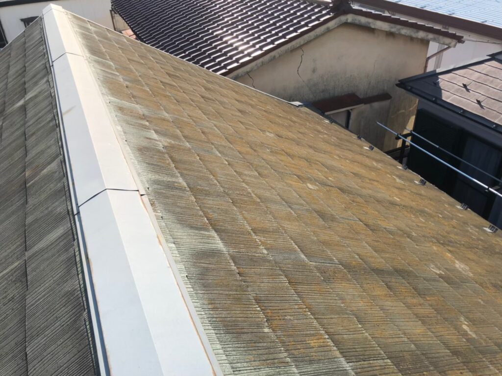 経年劣化で屋根表面に汚れ・苔が広がっている状態