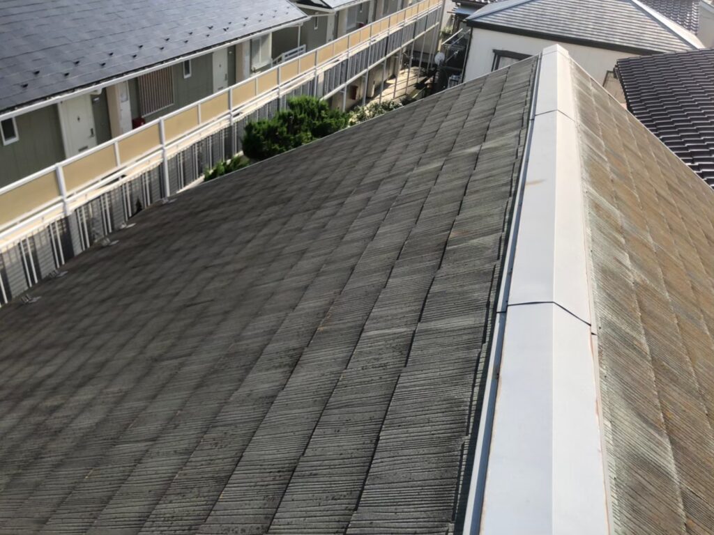 屋根材に黒ずみ汚れが発生し、防水性能が低下している状態