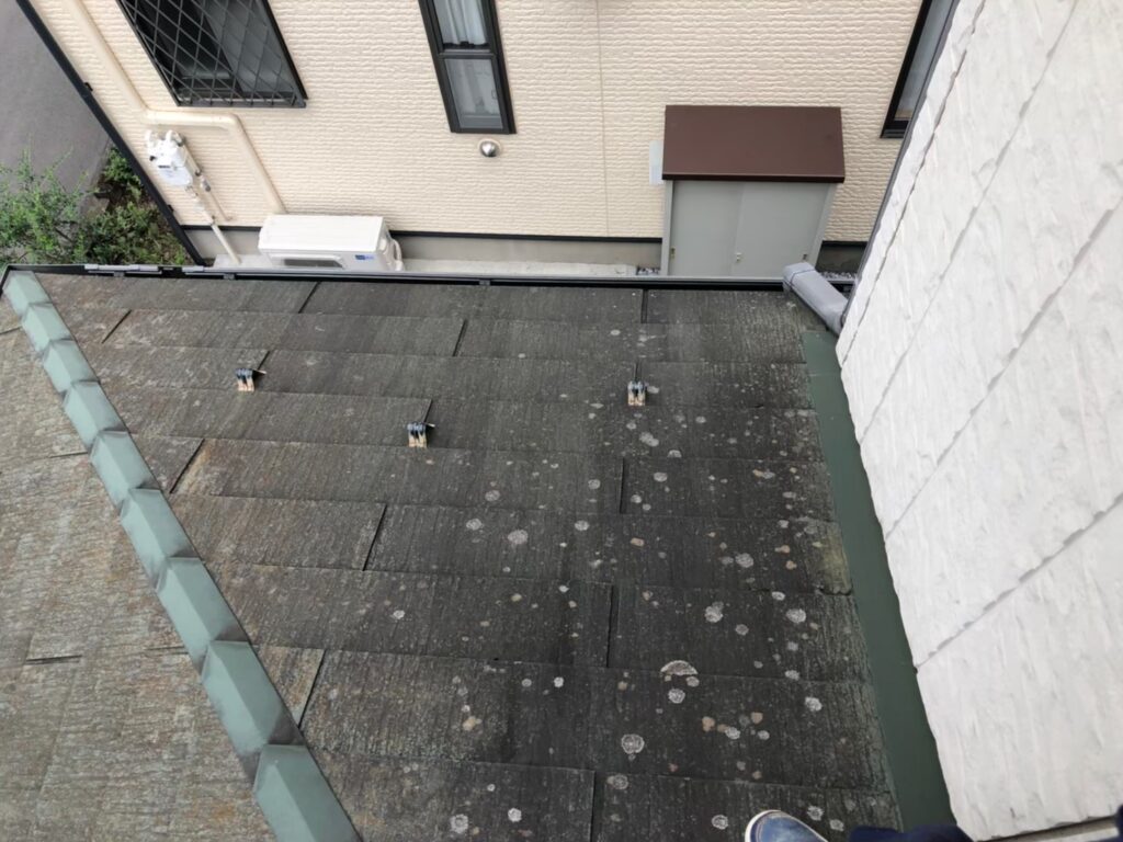 屋根材に黒ずみ汚れが発生し、防水性能が低下している状態