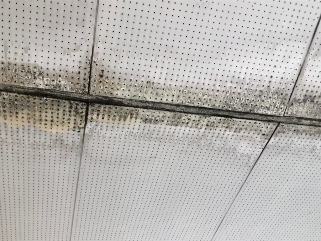 所沢市で台風通過後に天井のシミや異臭に気づいた方へ｜初期段…