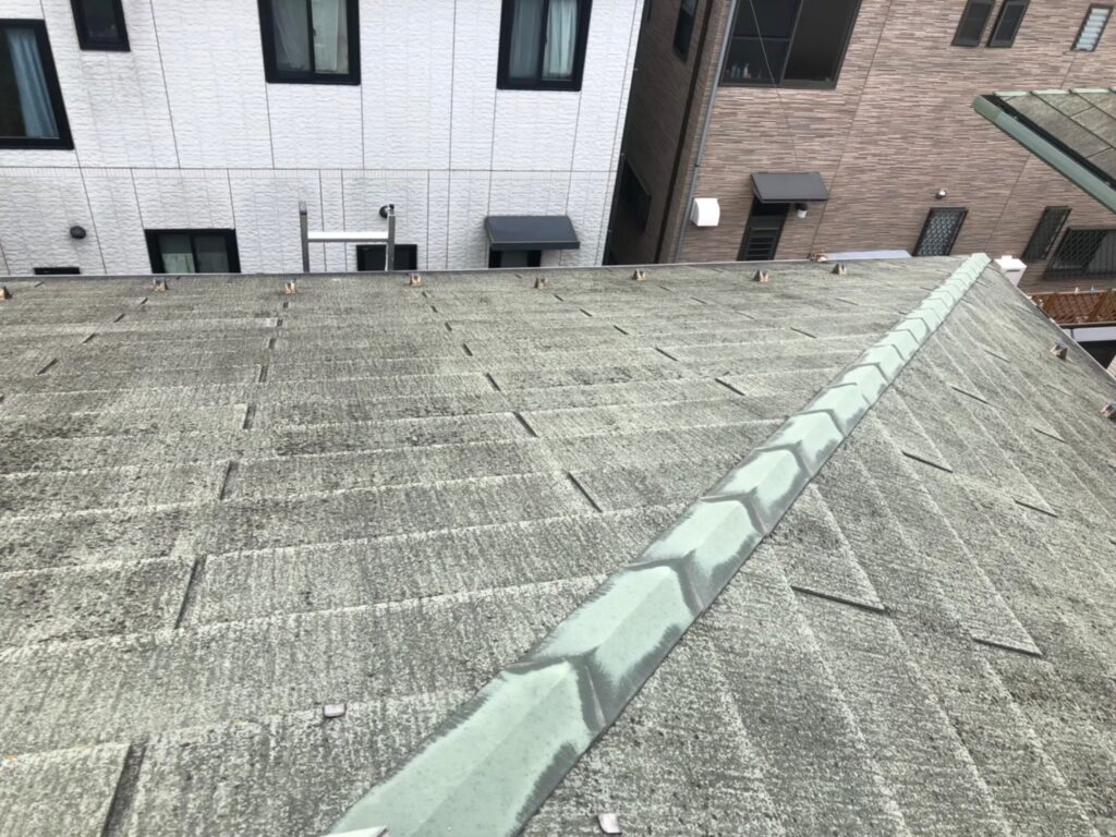 屋根材に黒ずみ汚れが発生し、防水性能が低下している状態