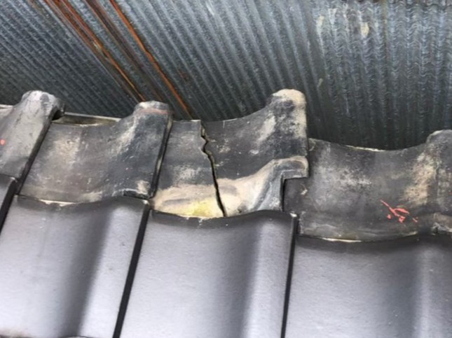 強風の影響により瓦屋根が破損している状態
