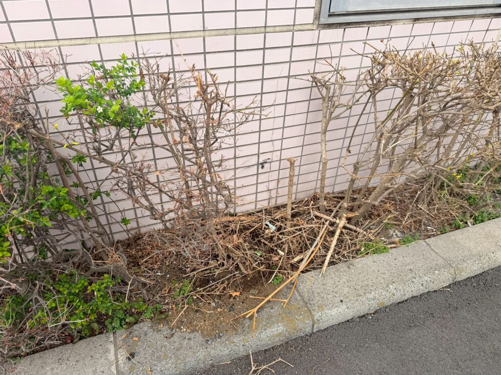 車の衝突によって、外壁タイルと植栽に損害が出ているのが分かる全体の写真