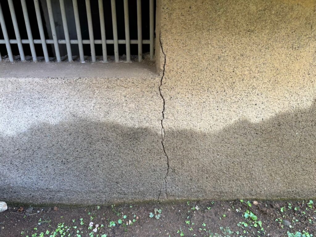 土台基礎表面が白くなり、白華現象（エフロレッセンス）が確認できる状態