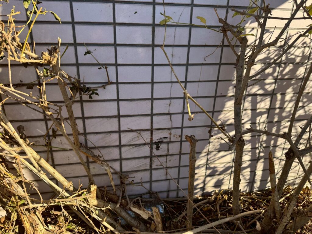 坂戸中央病院の外来棟の外壁タイルにひび割れが発生している写真