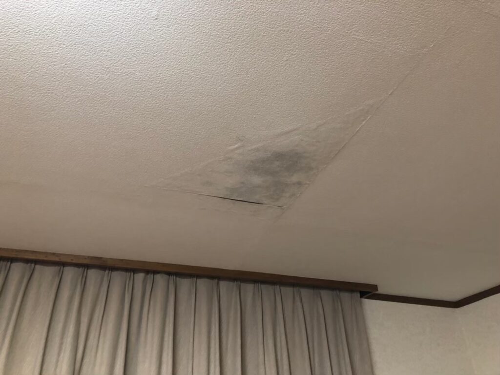 雨漏りの影響により室内天井にカビが発生している状態
