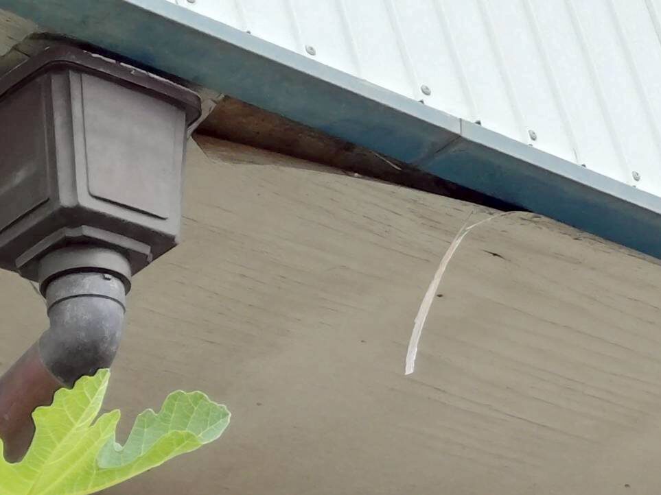 湿気や雨水で腐食し剥がれが発生した軒天