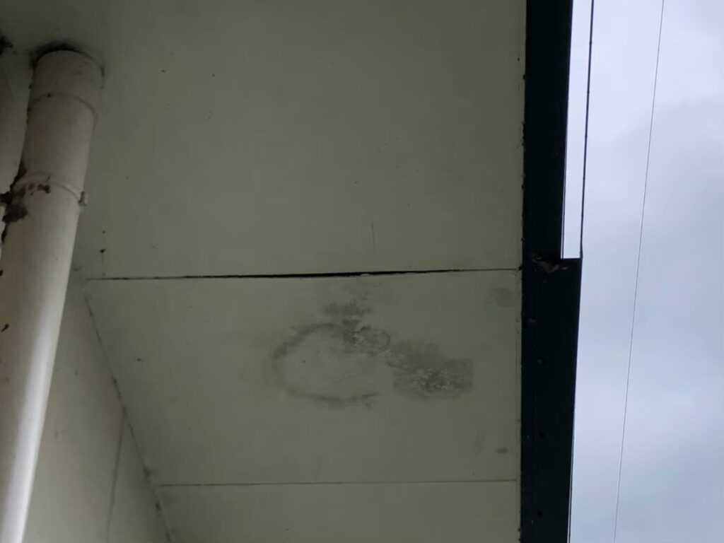 雨漏りの水分で茶色い雨染みが生じた軒天