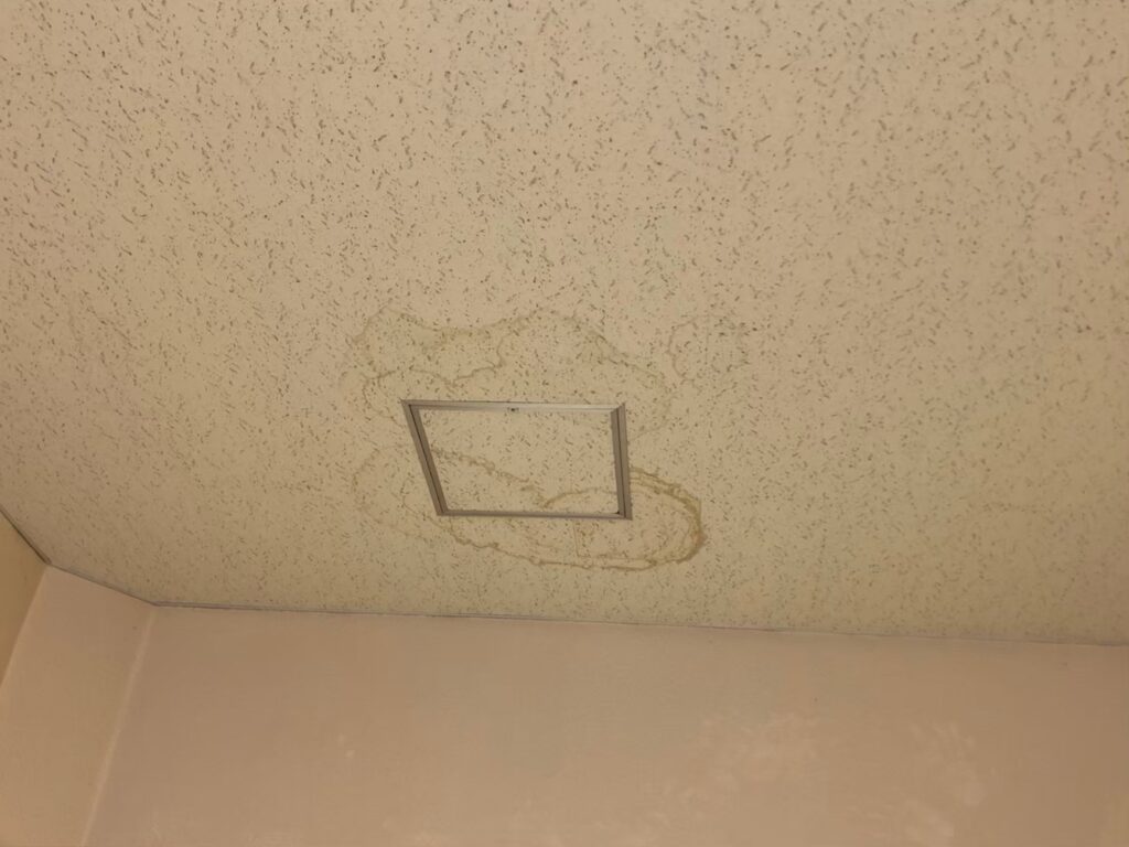 室内の天井に広がる雨漏りのシミと補修が必要な状態