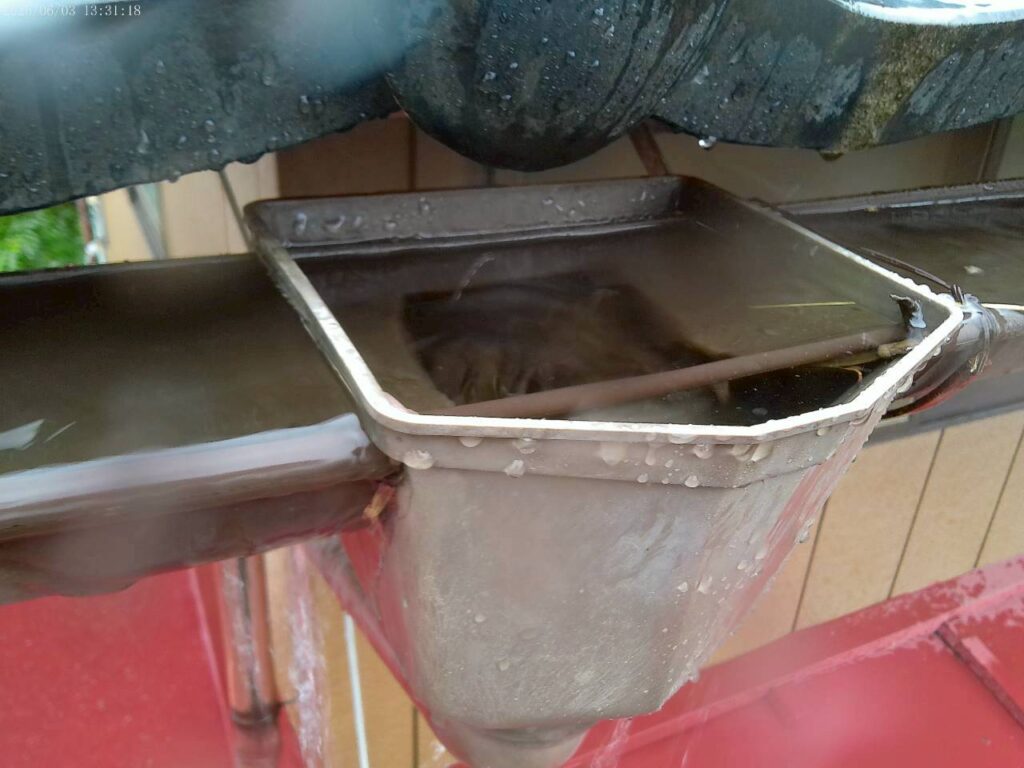 落ち葉の詰まりで排水不良を起こした雨樋