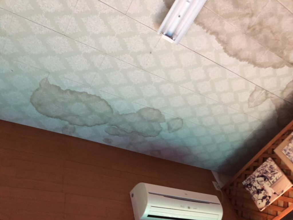 室内の天井に広がる雨漏りのシミと補修が必要な状態