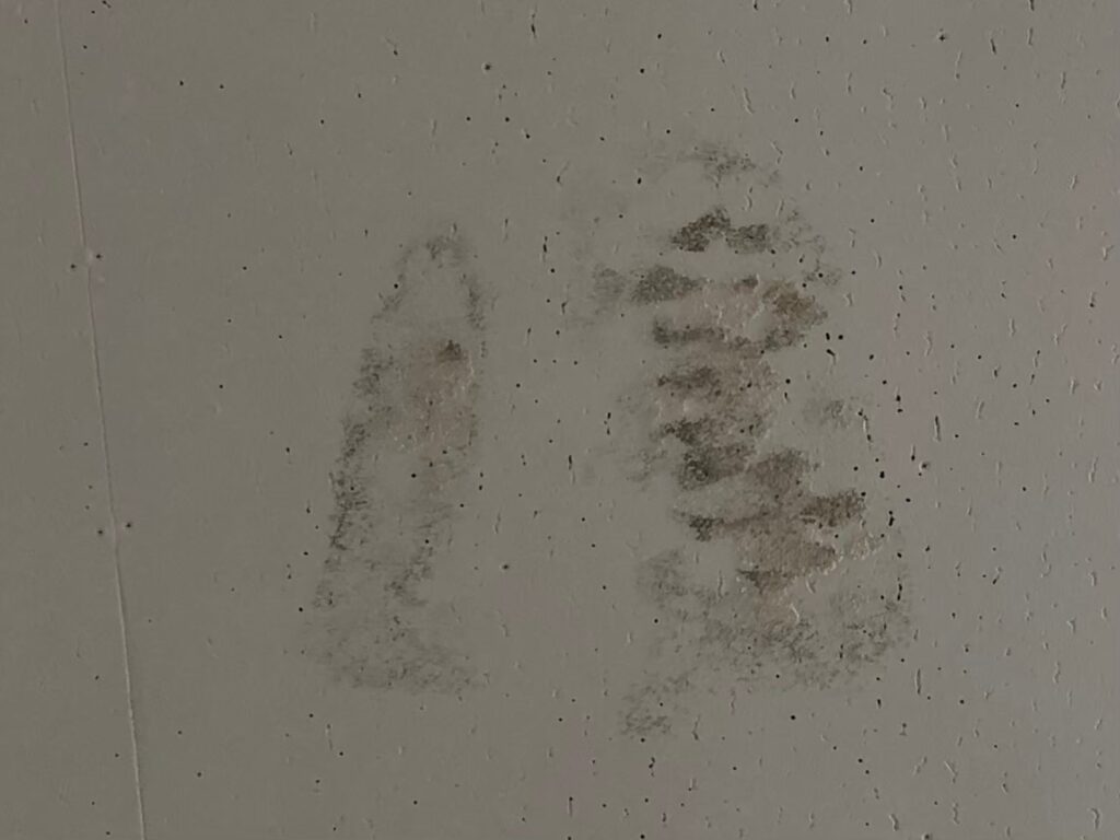 室内の天井に広がる雨漏りのシミと補修が必要な状態