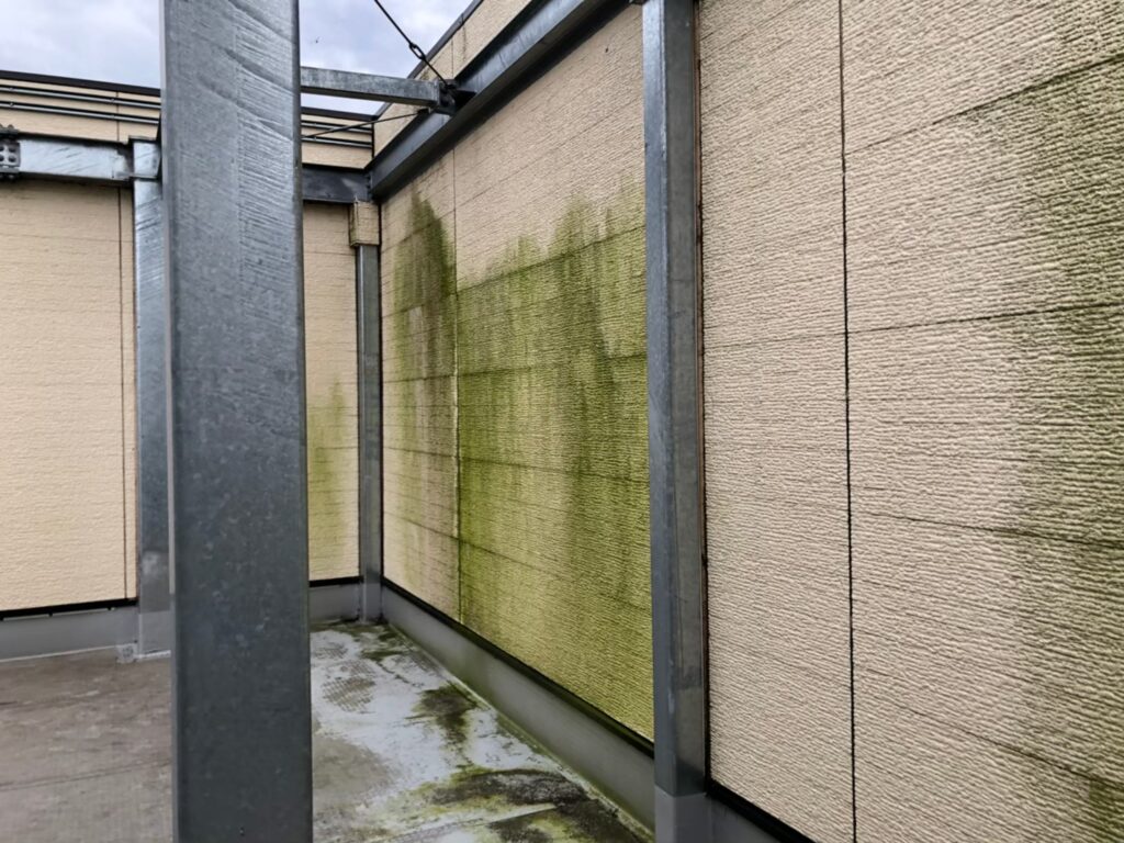 藻やカビ汚れが発生した外壁の経年劣化